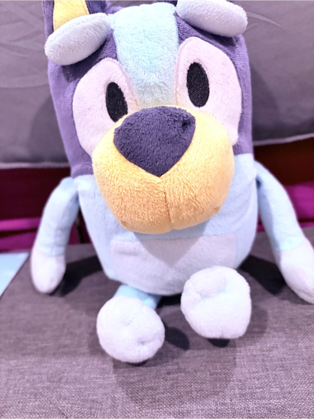 Plush Dog Toy - Blue & Purple Soft Squeaky Pet Toy